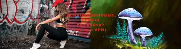 твердый Балахна